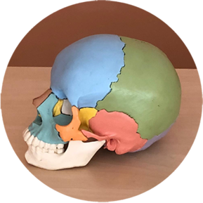 Osteopathie von Heilpraktiker Klaus Troidl